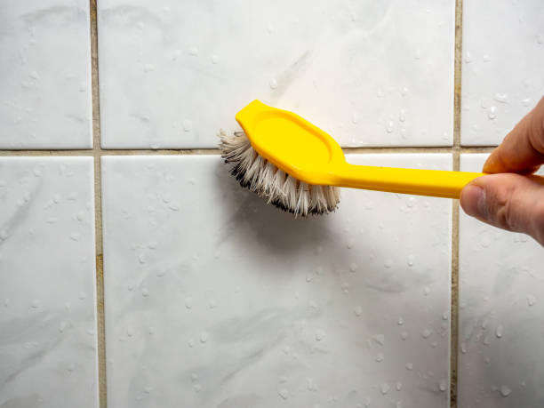 Best Emergency Mold Removal  in Tyndall Af, FL