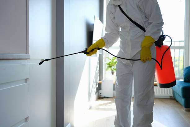 Best Mold Damage Repair  in Tyndall Af, FL