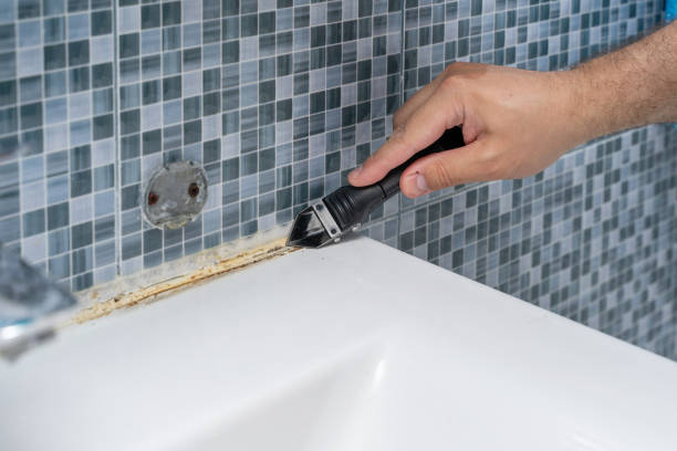 Best Professional Mold Removal  in Tyndall Af, FL