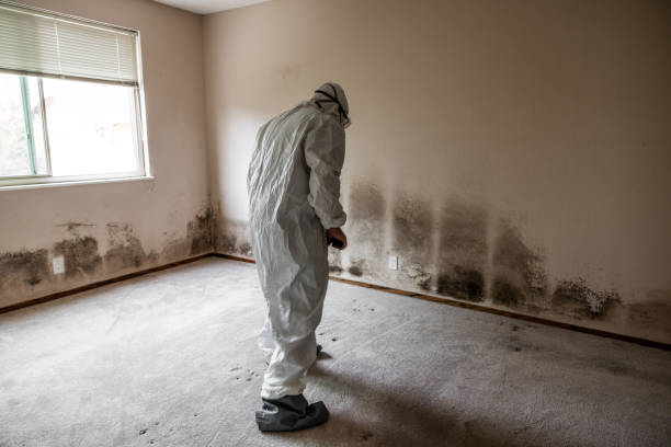 Water Damage Restoration in Tyndall Af, FL