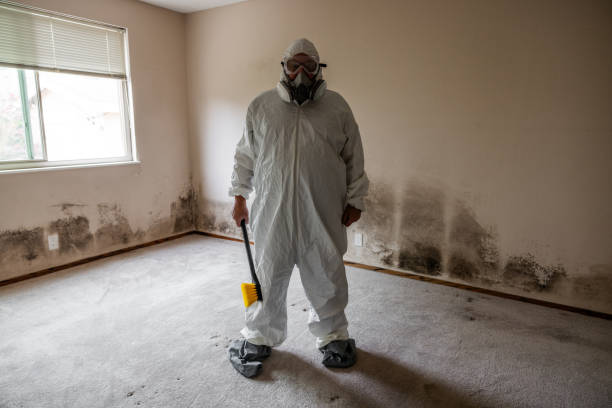 Best Mold Testing  in Tyndall Af, FL